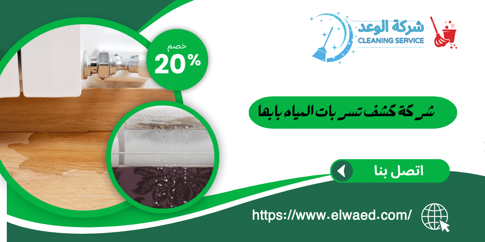 شركة كشف تسربات المياه بابها