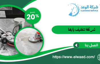 شركة تنظيف بابها 