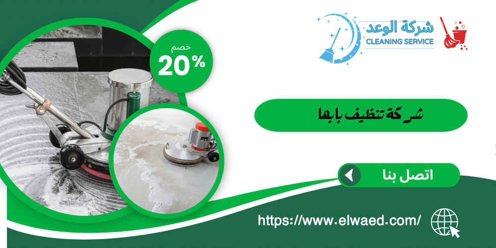 شركة تنظيف بابها 